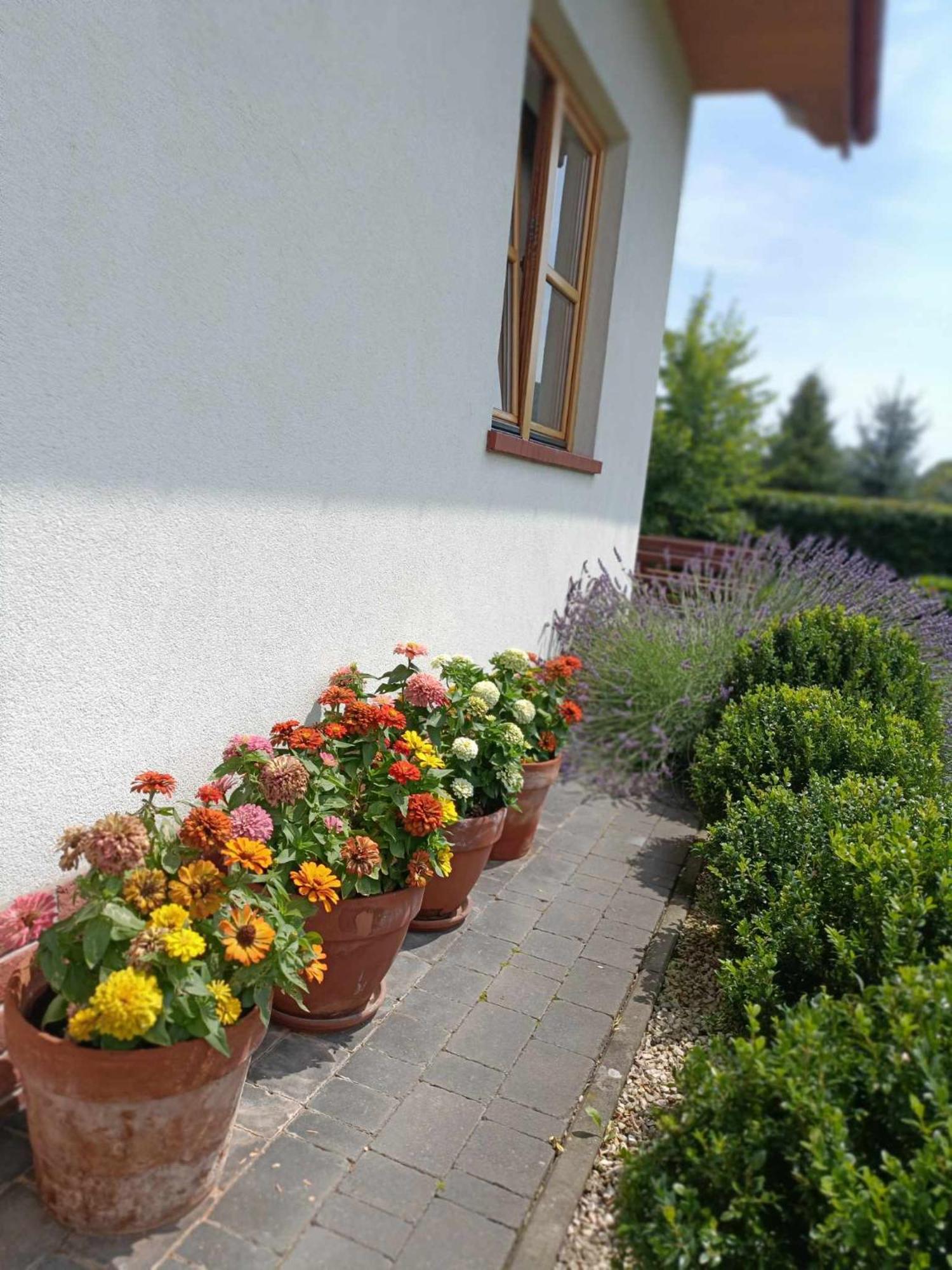 Noclegi "Koniadow" Solina  Exterior foto
